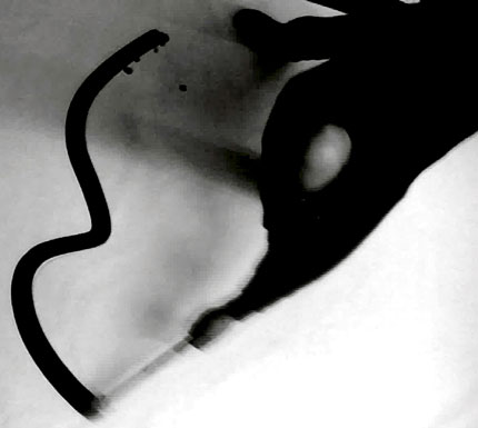 Nazir Tanbouli Contemporary Drawing